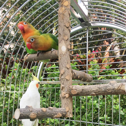 Bird Perch Nature Wood Stand for Small Medium Parrots