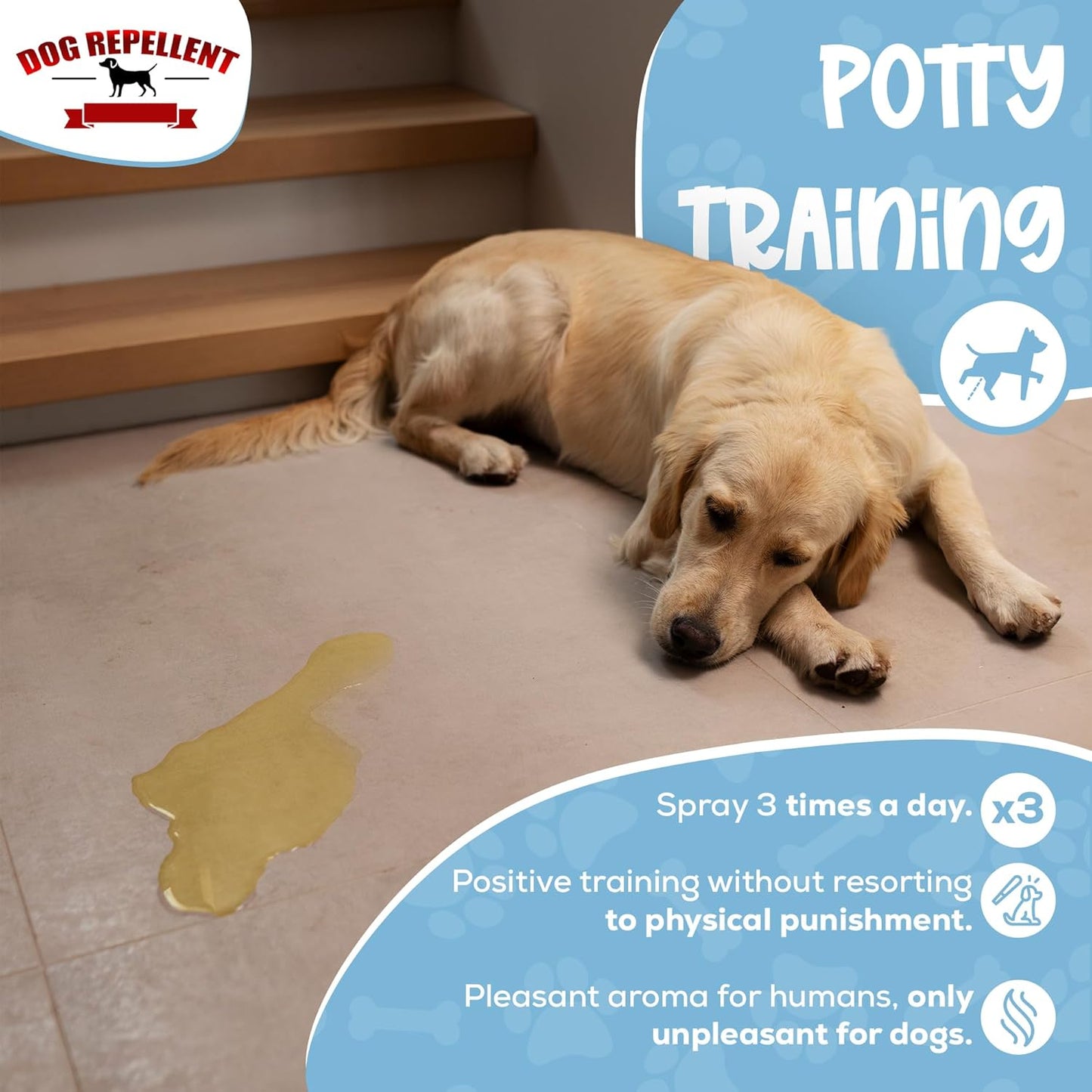 Natural Pet Deterrent Spray! No Chew Spray for Dogs, Potty Training for Puppies & Dogs, for Indoor & Outdoor Use, Bitter Spray for Pets, Safe, Effective, Made in the USA, 8 Oz